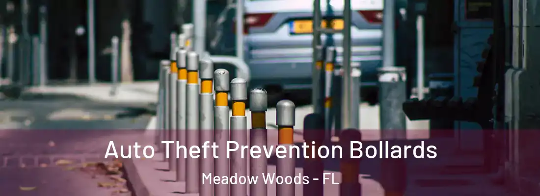 Auto Theft Prevention Bollards Meadow Woods - FL