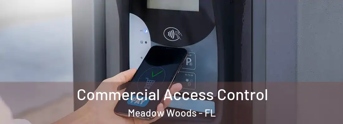 Commercial Access Control Meadow Woods - FL