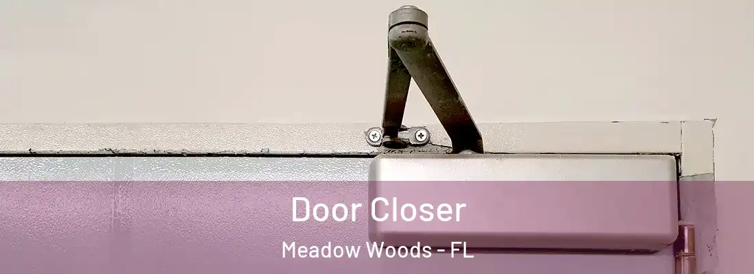  Door Closer Meadow Woods - FL