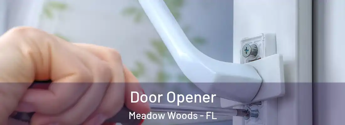 Door Opener Meadow Woods - FL