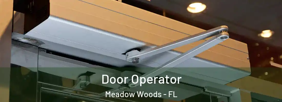  Door Operator Meadow Woods - FL