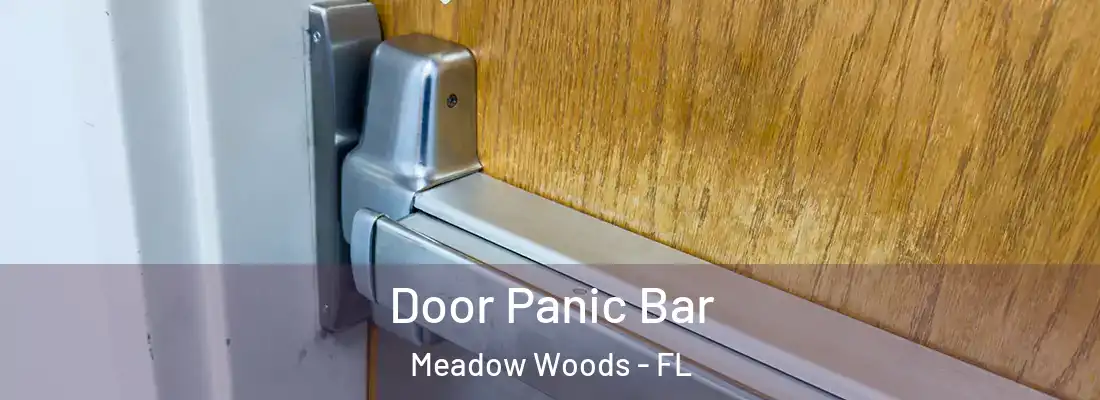 Door Panic Bar Meadow Woods - FL