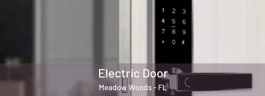 Electric Door Meadow Woods - FL
