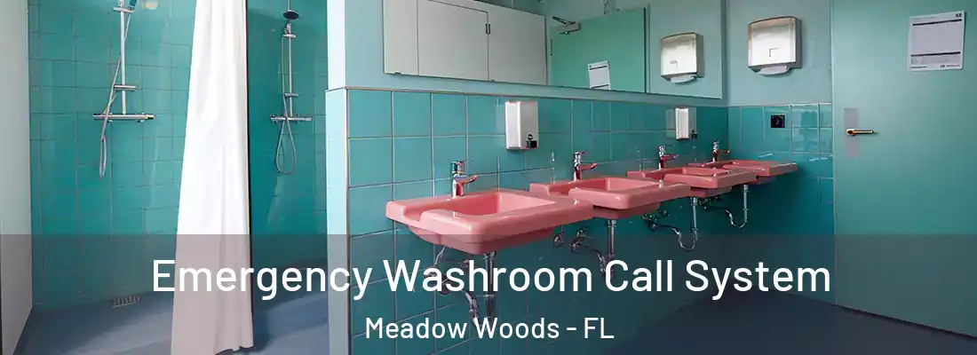 Emergency Washroom Call System Meadow Woods - FL