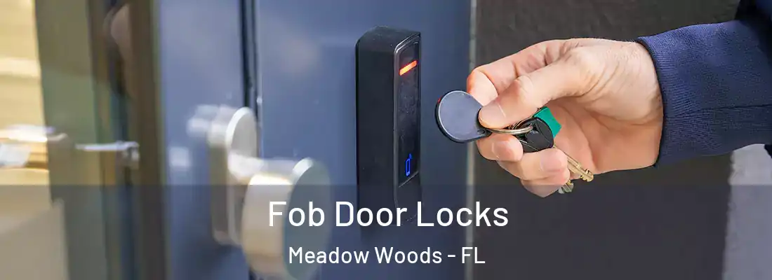  Fob Door Locks Meadow Woods - FL