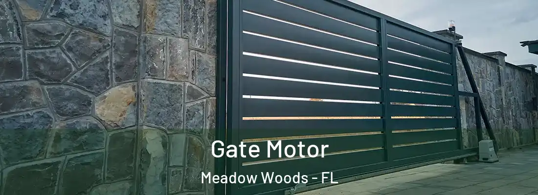Gate Motor Meadow Woods - FL