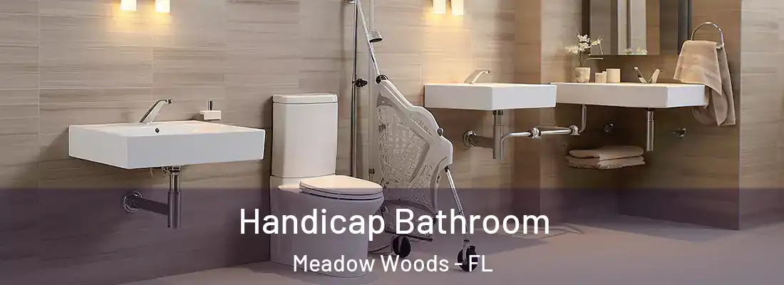 Handicap Bathroom Meadow Woods - FL
