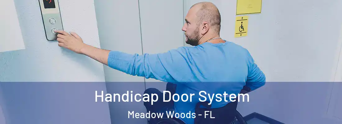  Handicap Door System Meadow Woods - FL
