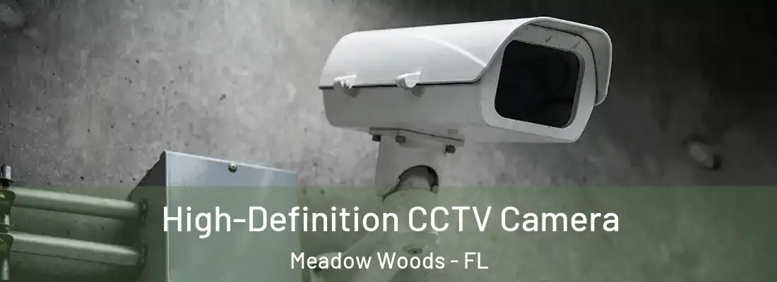 High-Definition CCTV Camera Meadow Woods - FL