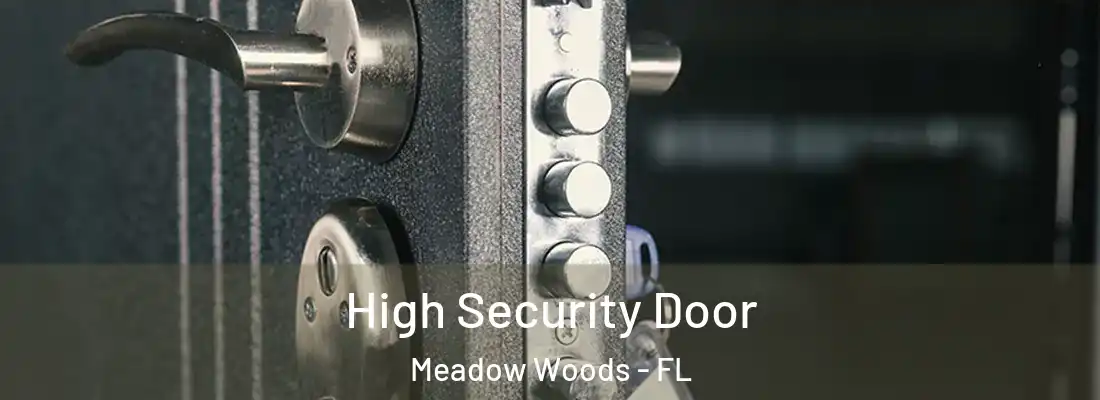 High Security Door Meadow Woods - FL