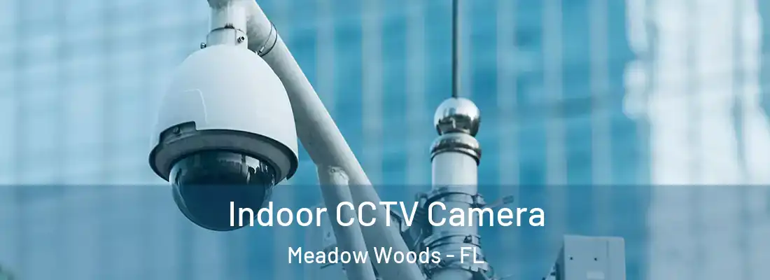  Indoor CCTV Camera Meadow Woods - FL