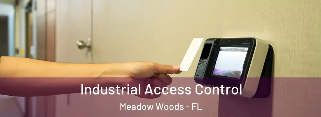 Industrial Access Control Meadow Woods - FL