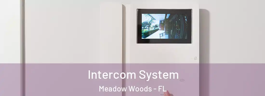 Intercom System Meadow Woods - FL