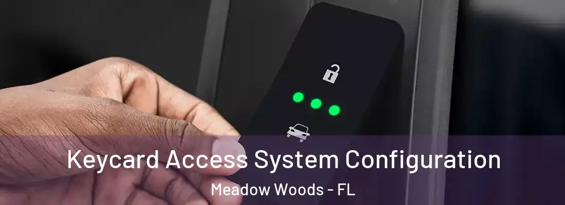 Keycard Access System Configuration Meadow Woods - FL