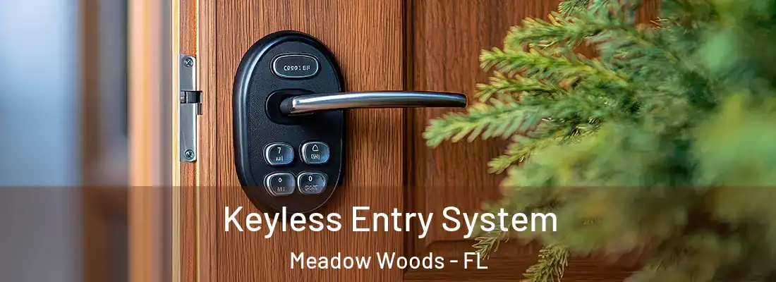 Keyless Entry System Meadow Woods - FL