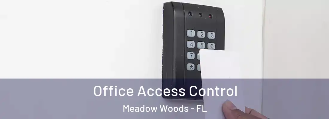 Office Access Control Meadow Woods - FL