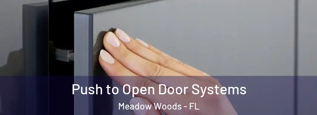 Push to Open Door Systems Meadow Woods - FL