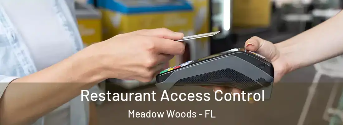 Restaurant Access Control Meadow Woods - FL
