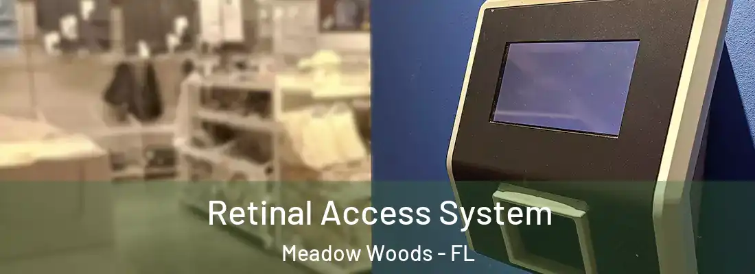 Retinal Access System Meadow Woods - FL