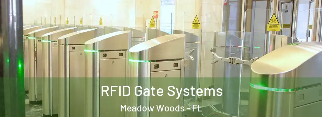  RFID Gate Systems Meadow Woods - FL