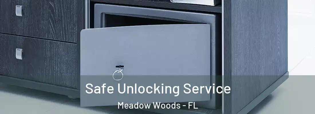 Safe Unlocking Service Meadow Woods - FL