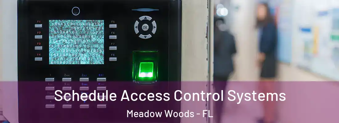 Schedule Access Control Systems Meadow Woods - FL