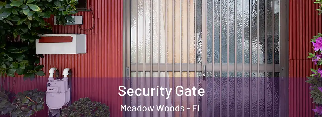 Security Gate Meadow Woods - FL