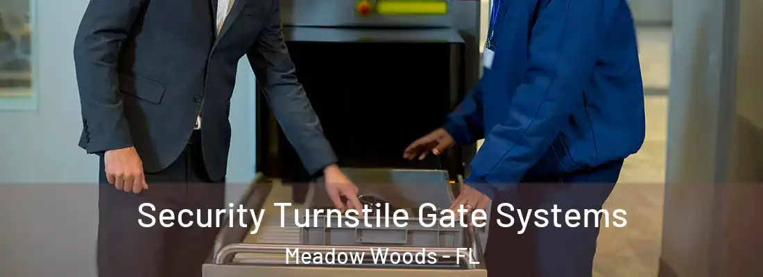Security Turnstile Gate Systems Meadow Woods - FL