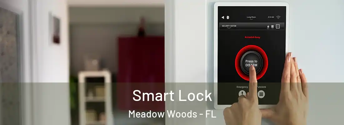 Smart Lock Meadow Woods - FL