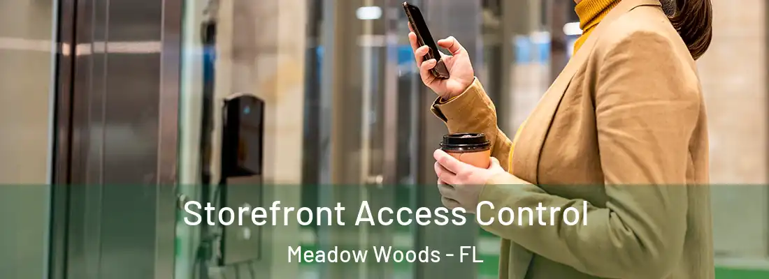 Storefront Access Control Meadow Woods - FL