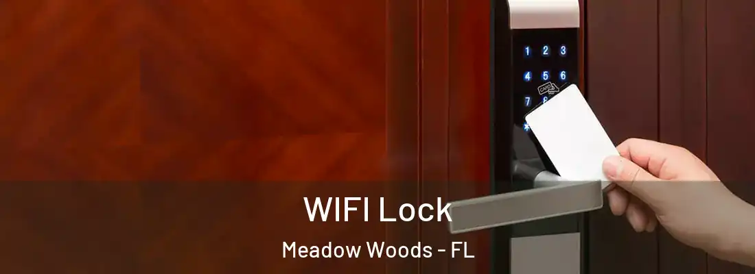  WIFI Lock Meadow Woods - FL